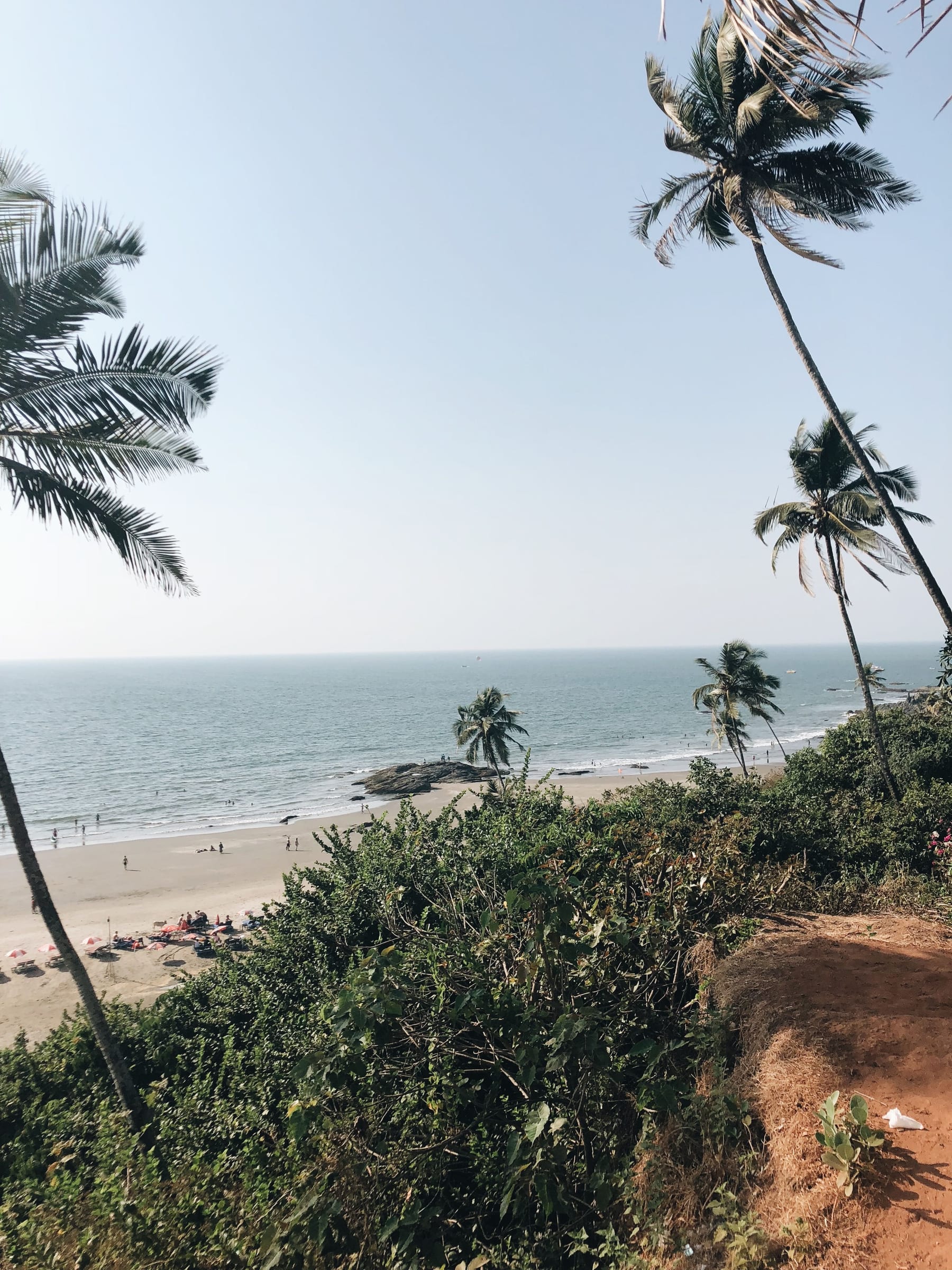 Palm-lined beach in Goa, India